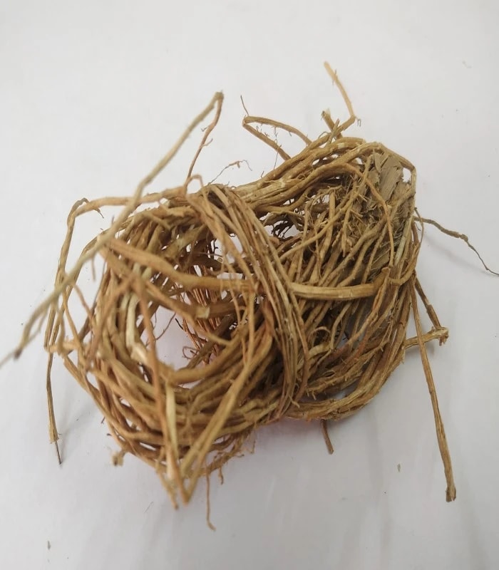 Coleus Vettiveroides Root (raw) / Vetiver (LAVANCHU BERU)