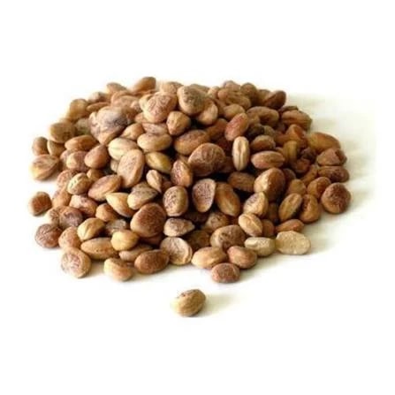Chironji Dana - Charoli Dana - Chirauli Nut - Almondette Seeds - Priyala - Cuddapah Almond- Buchanania Lanzan - Dry Fruits