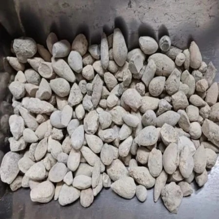 Ber Patthar (Stone) - Ber Pathar - Fish Stone - Sang e Sarmahi - Hajrul Yahood - Fossil Encrinite