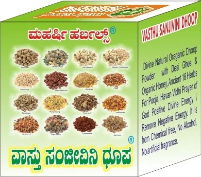 VASTU SANJIVINI DOOP