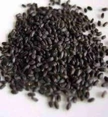 Bakuchi (Beej) - Babchi Seeds - Bavachi Beej - Bavchi Beej - Karpokarishi - Psoralea Seeds - Purple Fleabane - Psoralea Corylifolia BAVANCHI