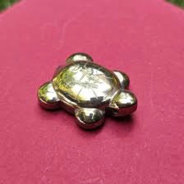 Pyrite Turtle