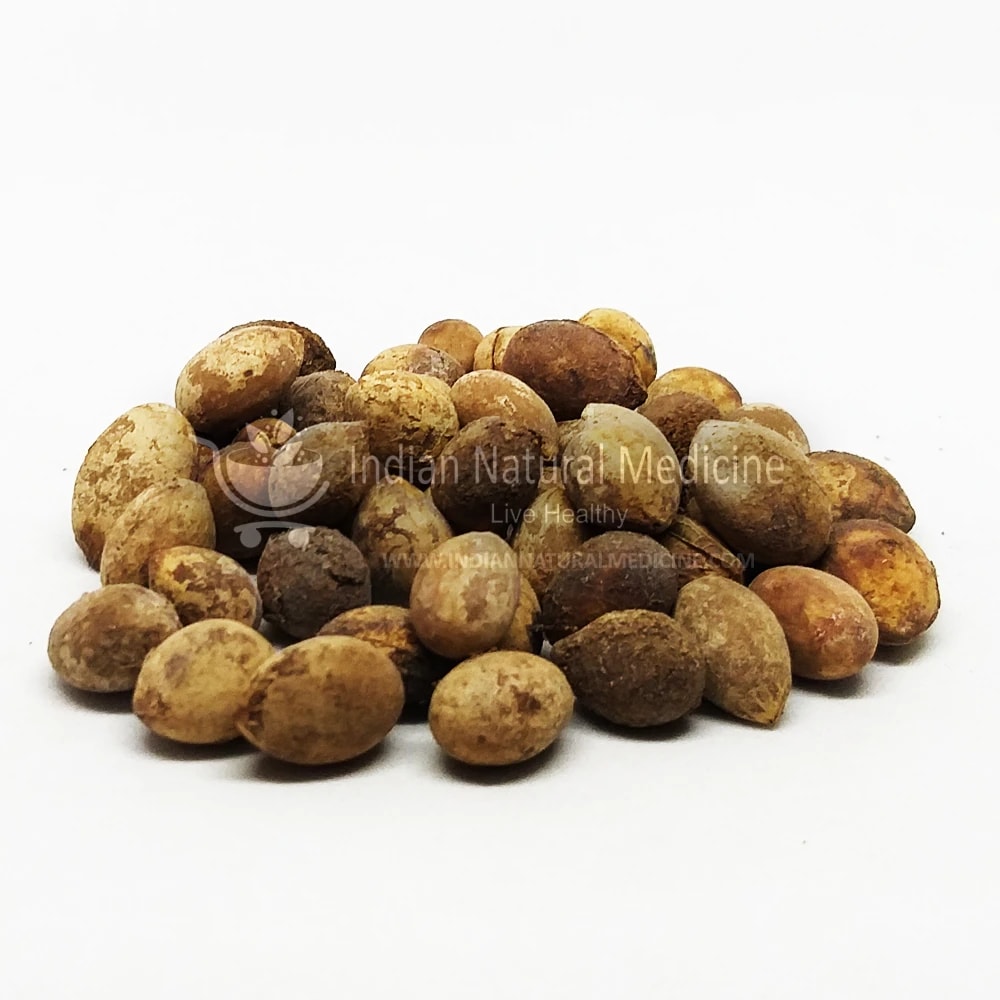 Ankol (Phal) - Alangium Salviifolium - Ancol (Fruit) ANKOLADHA ANNU
