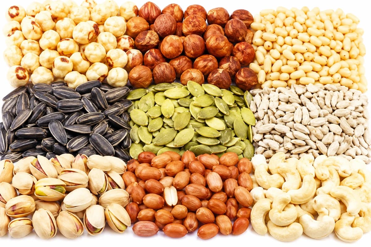 Edible and medicinal seeds