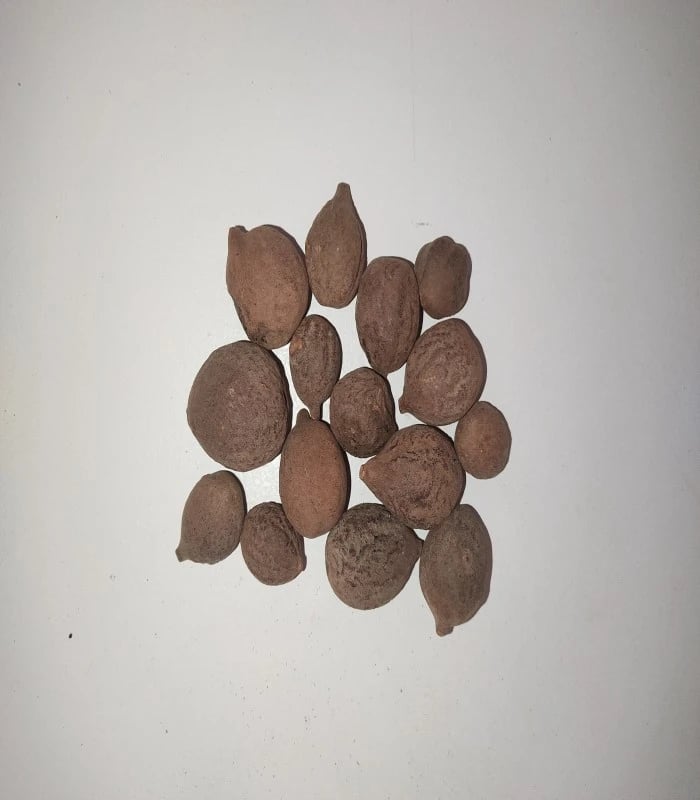 Beleric Dried (raw) / Tanekayi 250 Grms