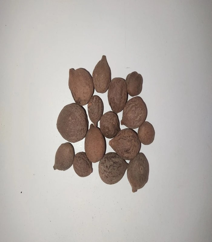 Beleric Dried (raw) / Tanekayi 250 Grms