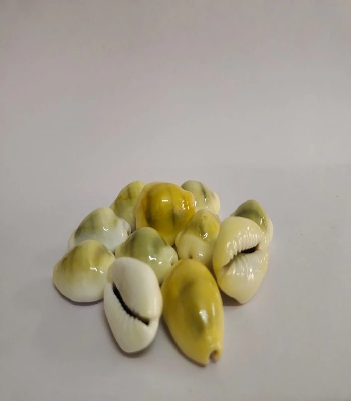 Yellow Sozhi / LAKSHMI KAVADE.