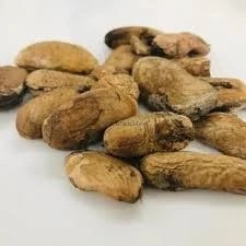 Mango Seed (Kernel) (Edible) - Aam Guthali (Giri) - Aam Magaz - Mangifera Indica