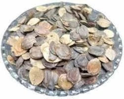 Edible Harshringar (Seeds) - Beej Harshingar - Paarijaat (Beej) - Parijat Seeds - Nyctanthes Arbor - Tristis - Night Jasmine - Coral Jasmine