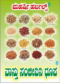 VASTU SANJIVINI DOOP