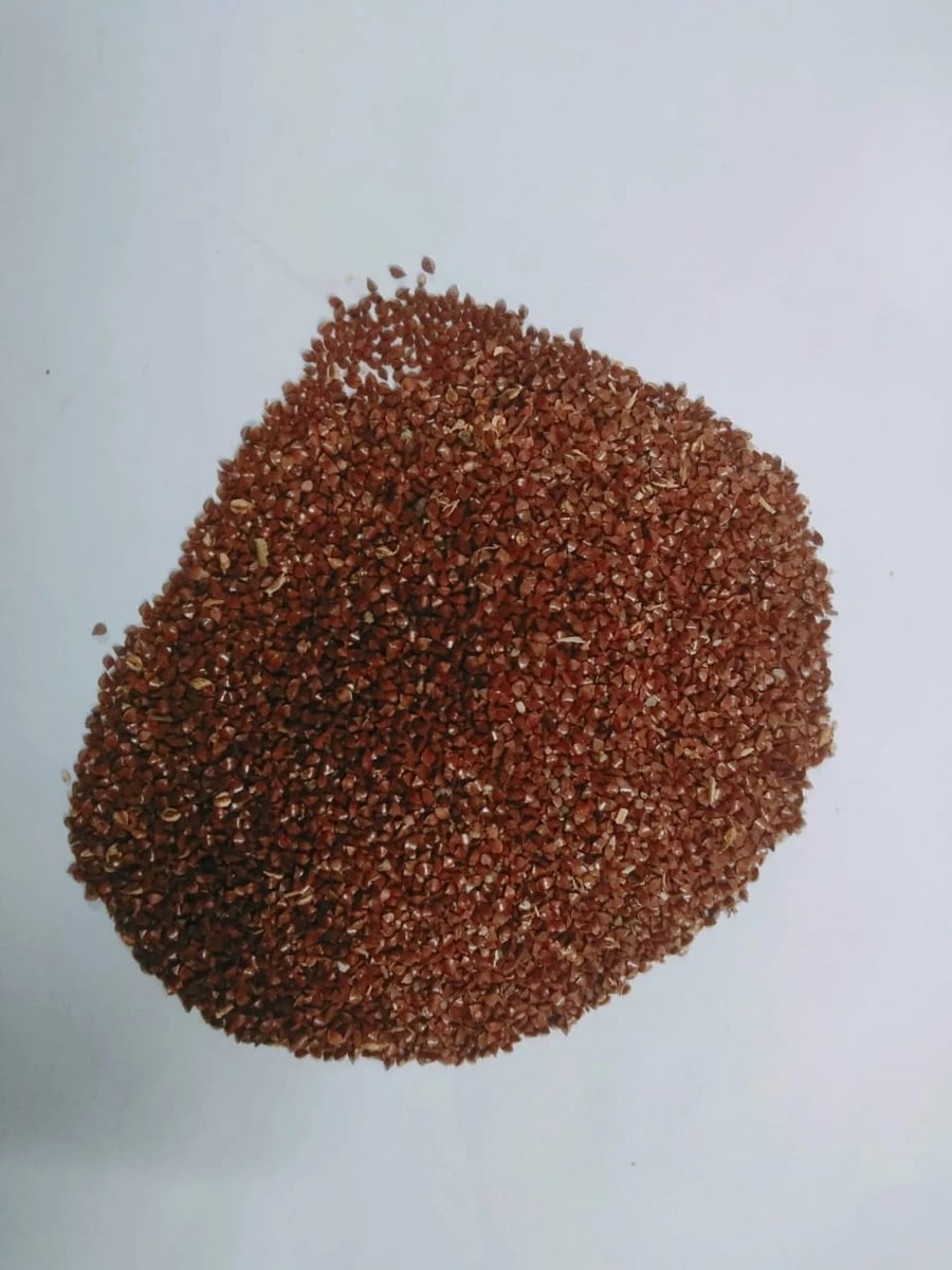Beej Band (Red) - Beejband (Lal) - Bijband Lal - Sida Cordifolia URUVAMANI KEMPU