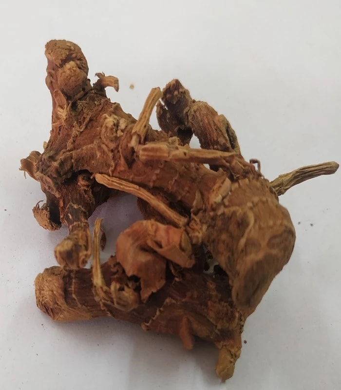 Lesser Galangal Dried (raw) / Chitharathai / Sitharathai (SANNARASMI , DUMBURASHMI)