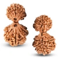 Garbh Gauri Rudraksha Bead