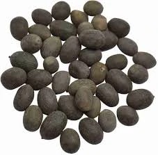 Kamal Gatta - Kamal (Beej) - Pabdi - Makhana Beej - Lotus (Seeds) - Nelumbo Nucifera