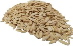 Kheera (Beej) - Cucumber (Edible Raw Seeds) - Beej Khira - Cucumis Sativus