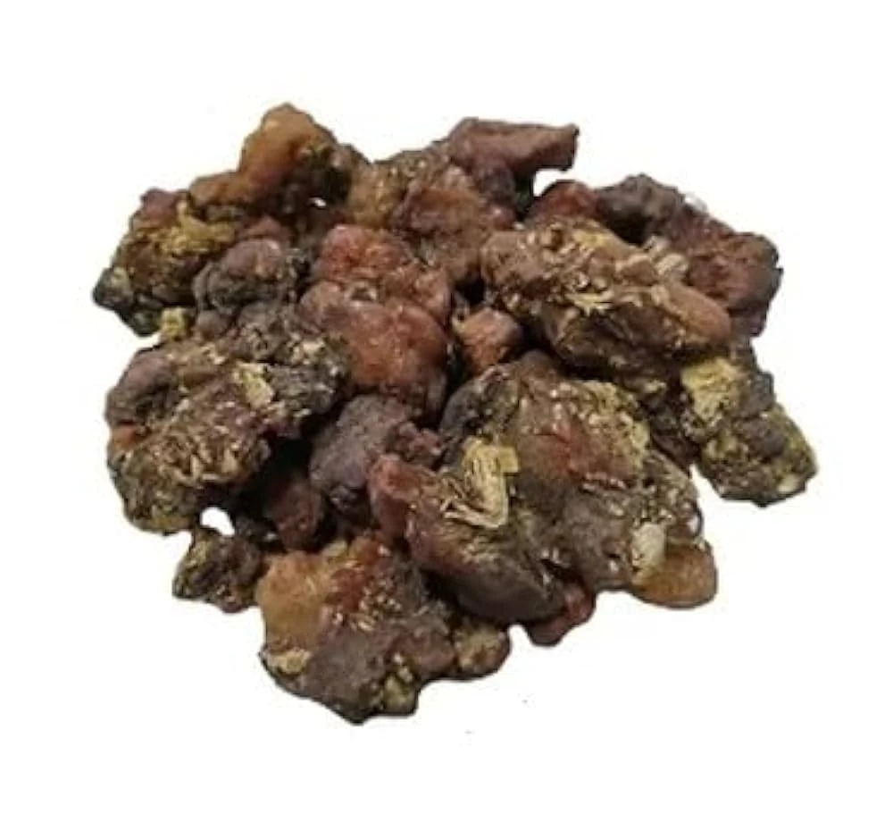 Gond Sonjana - Gond Sohjana - Moringa Gum - Saragavo - Phool Supari - Moringa Oleifera