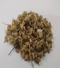 Solanum Trilobatum / Kandankathiri (PULLU SOPPU)