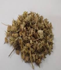 Solanum Trilobatum / Kandankathiri (PULLU SOPPU)