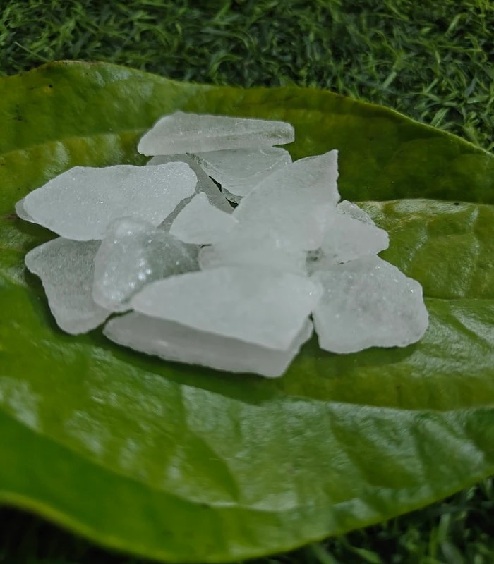 Green Camphor / Pachai Karpooram 25GRM