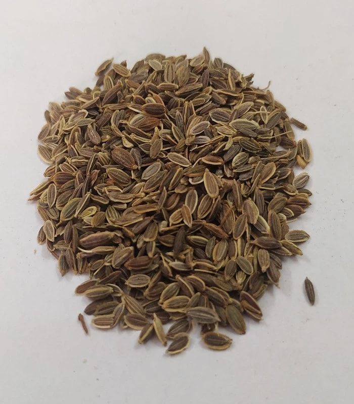 Dill Seed Dried (raw) / Sathakuppai (SHATHAPUSHPA BEEJA)