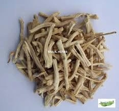 Satavar Dried Root (raw) / Thaneer Vittan Kilangu (SHATAVARI BERU)