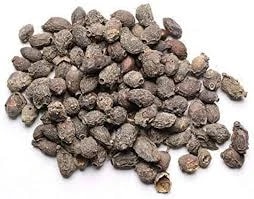 Jamun Tree Seed Dried (raw) / Naval Kottai (NERALE BEEJA)