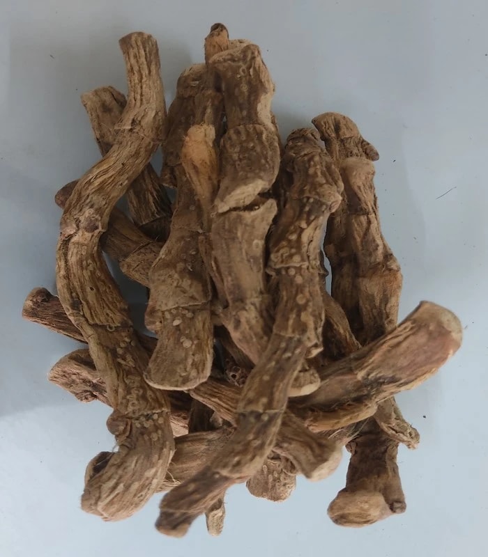 Calamus / Sweet Flag Dried (raw) / Vasambu (BAJE)