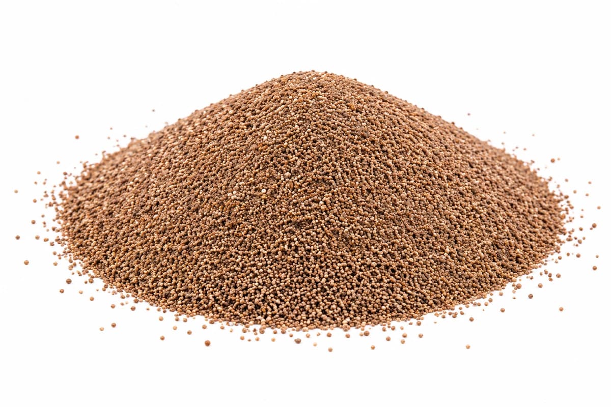 RASAYANA