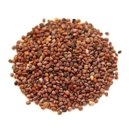 Beej Mooli (Edible) - Beej Muli - Mula Beej - Radish Seeds - Raphanus Sativus MULANGI BEEJA