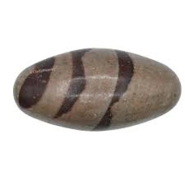 Narmadeshwar Shivling