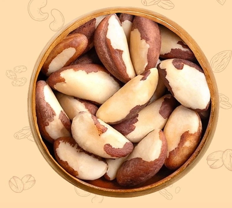 Brazil Nuts - Brazilian Nuts - Bertholletia Excelsa - Trikon Fal - Dry Fruits