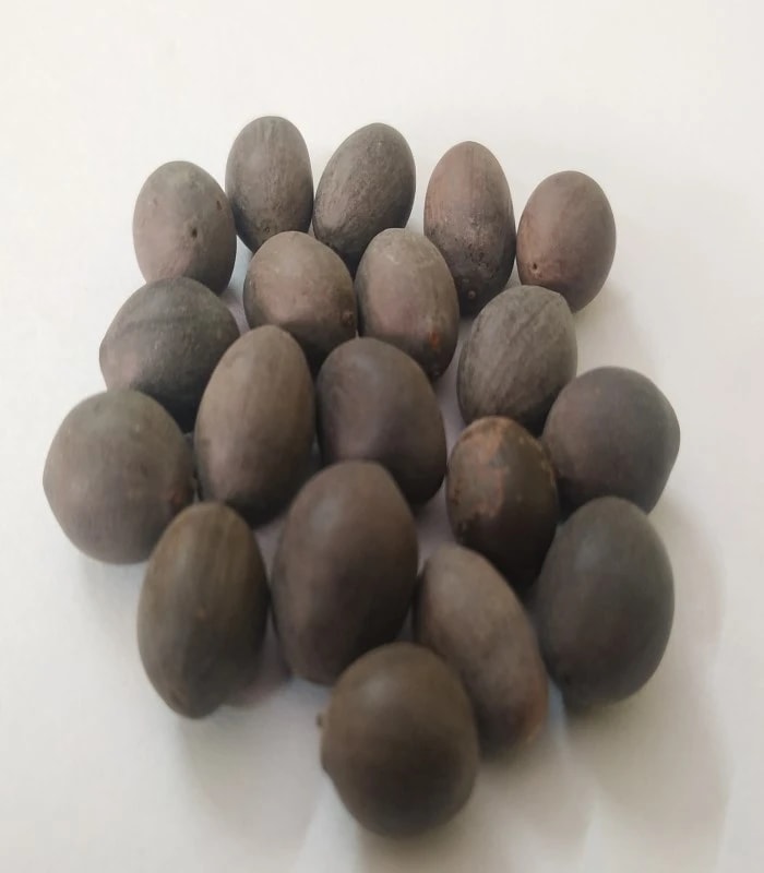 Lotus Seeds ( Raw) / Thamarai Vithai (KAMAL BEEJAGALU)