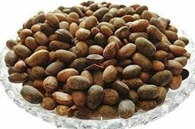 Jamalghota (Beej) - Croton Tiglium Seeds - Jamalgota - Jayapala - Purging Croton - Jaipal - Jaypal JAPALA BEEJA