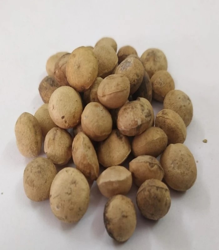 Clearing Nut Dried (raw) / Thetran Kottai (CHILLA , KATAKA)